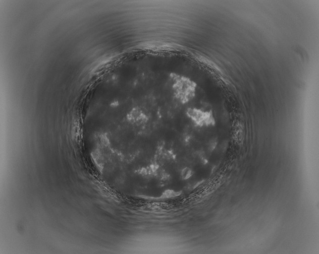 X0000112000966200908311111