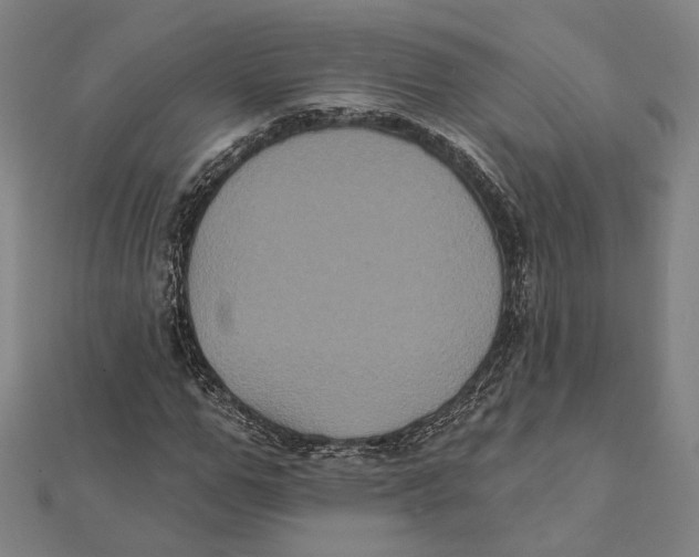 X0000112000967200908311111