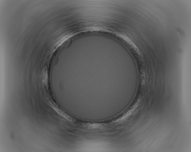 X0000112000969200908311111