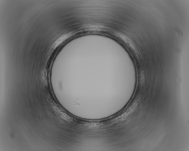 X0000112000970200908311111