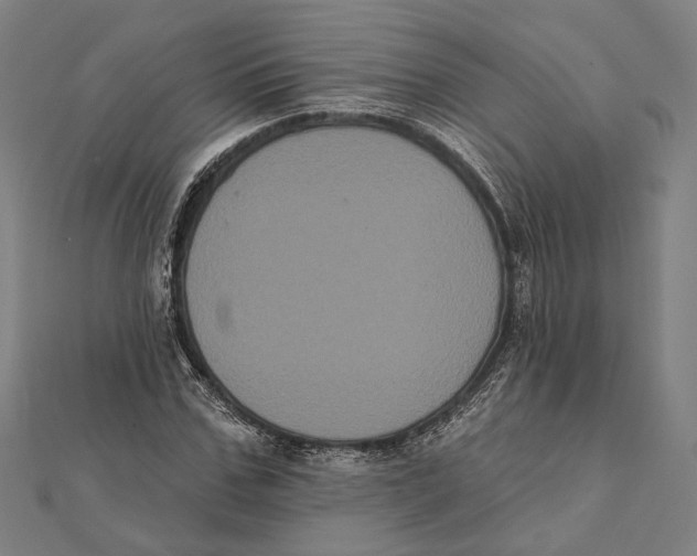 X0000112000971200908311111