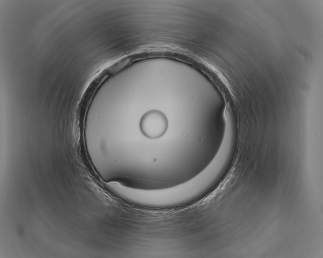 X0000112000973200908311110