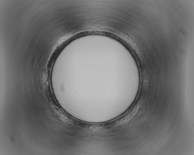 X0000112000974200908311110