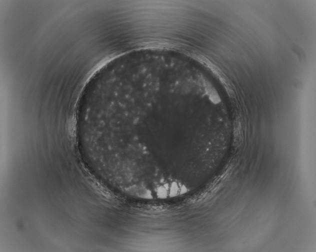 X0000112000975200908311110