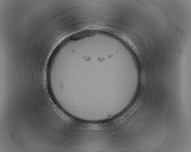 X0000112000976200908311110