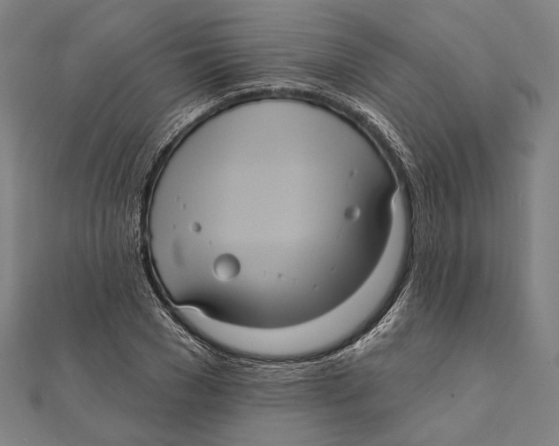 X0000112000977200908311110