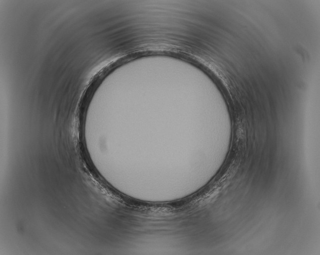 X0000112000979200908311110