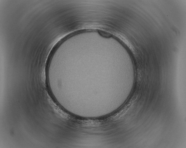 X0000112000980200908311110