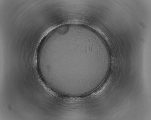 X0000112000981200908311110