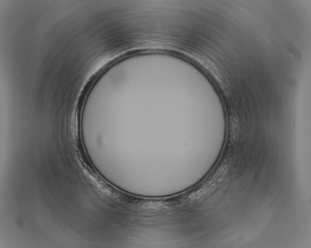 X0000112000982200908311110