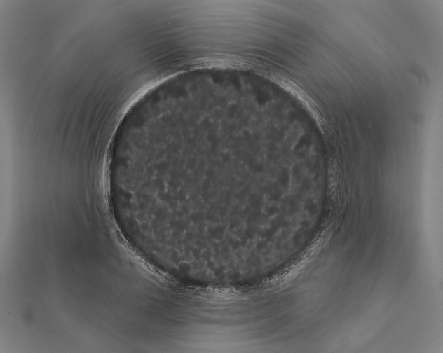 X0000112000983200908311110