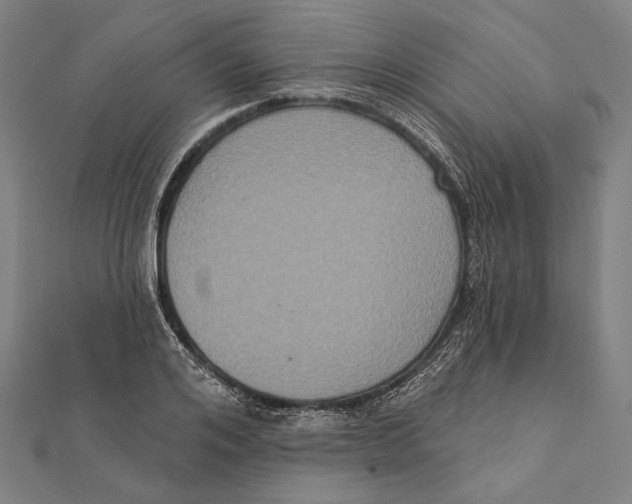 X0000112000984200908311110