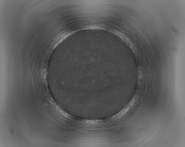 X0000112000985200908311110