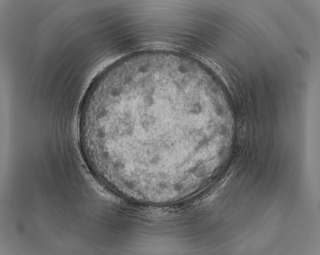 X0000112000987200908311110