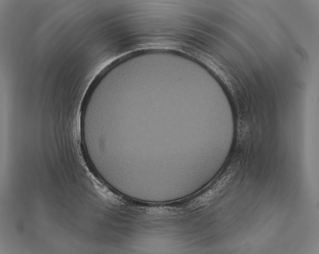 X0000112000988200908311110