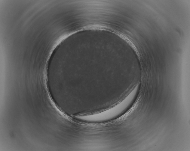 X0000112000989200908311110