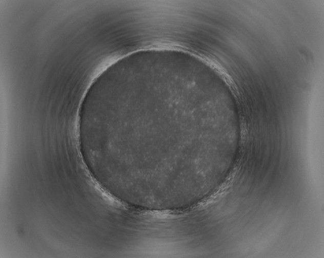 X0000112000990200908311110