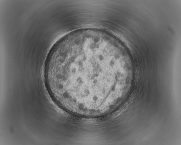 X0000112000991200908311110