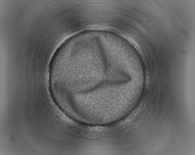 X0000112000992200908311110