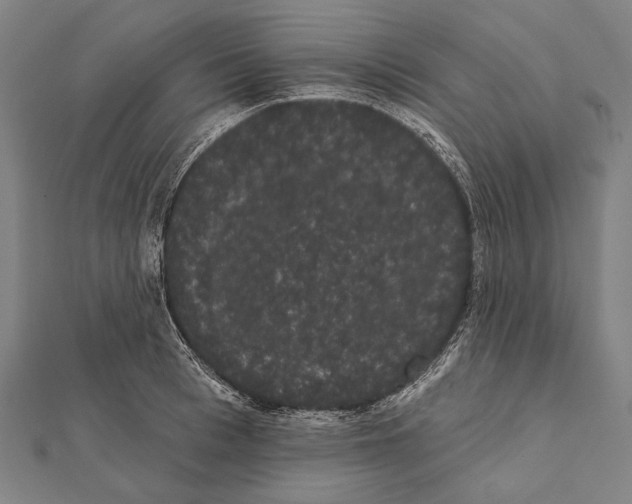 X0000112000993200908311110