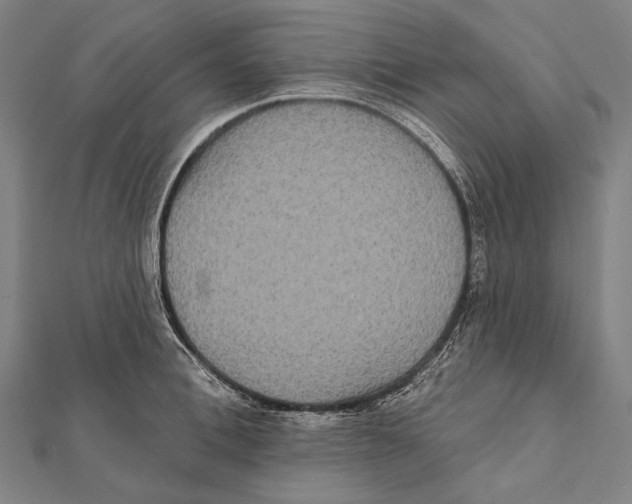 X0000112000996200908311110