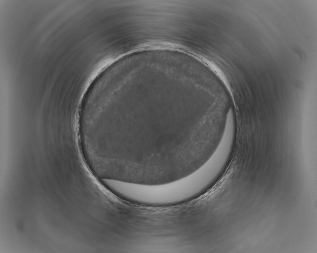 X0000112000997200908311110