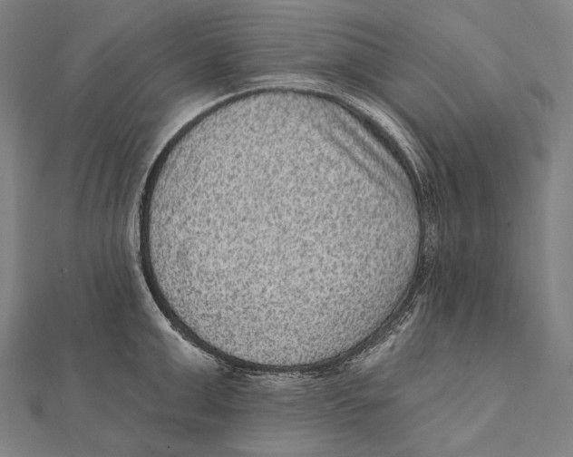 X0000112000999200908311110