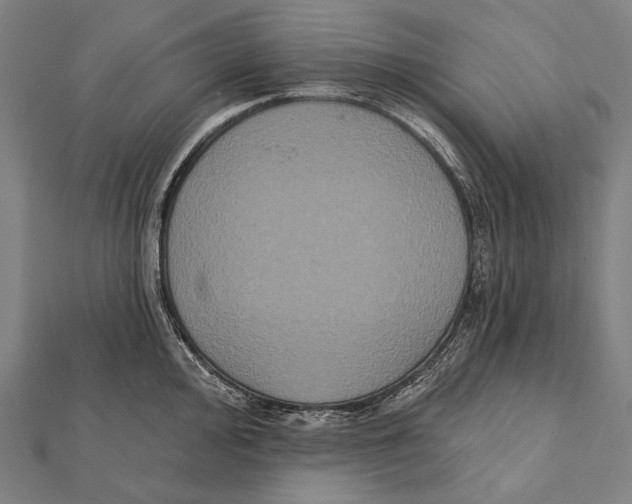 X0000112001000200908311110