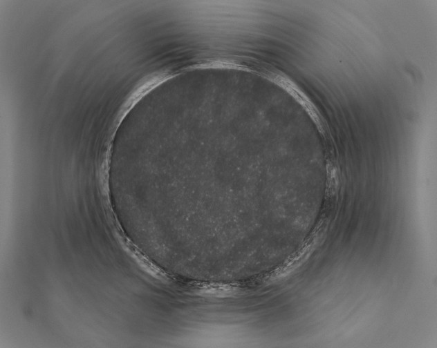 X0000112001002200908311110