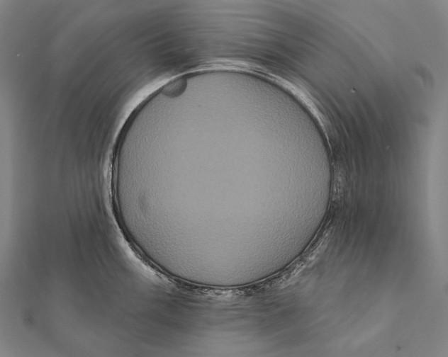 X0000112001003200908311110