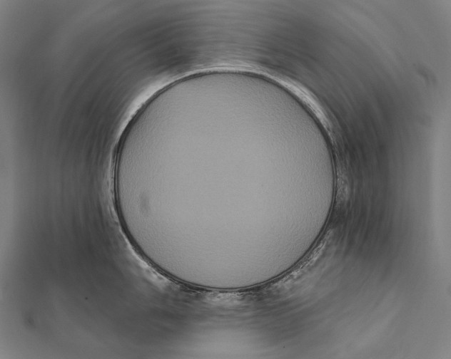 X0000112001006200908311110