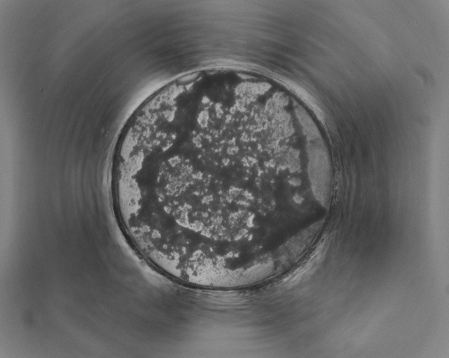 X0000112001007200908311110