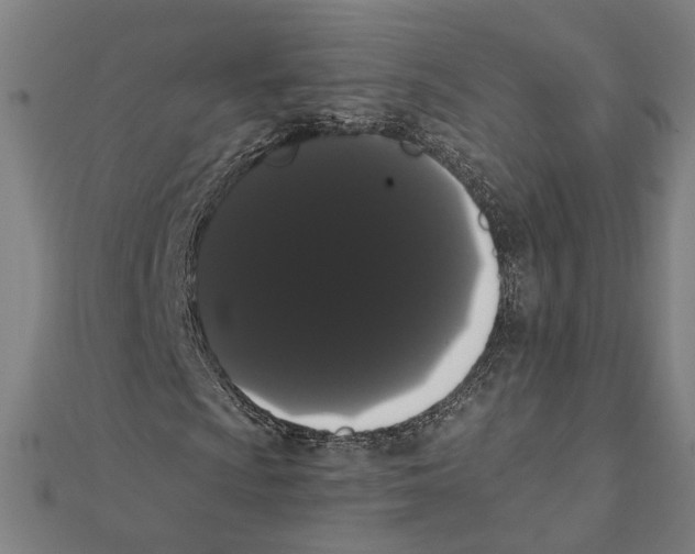 X0000112001009200908311109