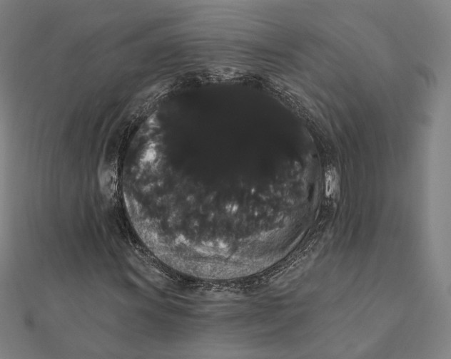 X0000112001011200908311109