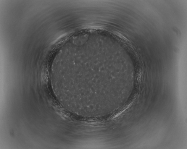 X0000112001014200908311109