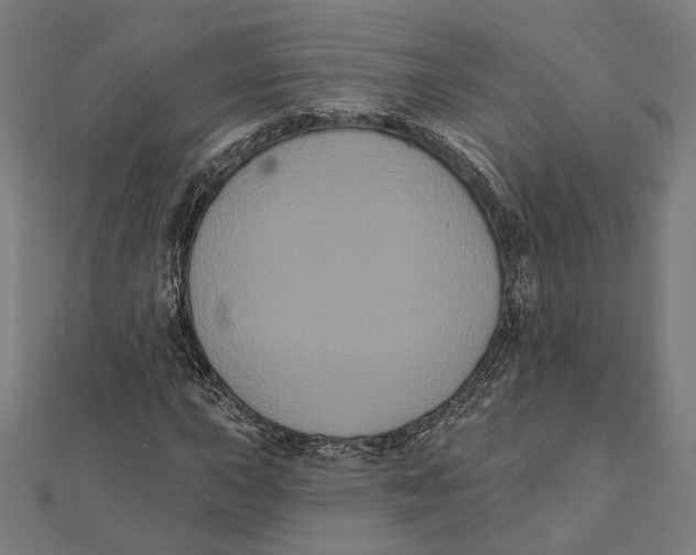 X0000112001015200908311109