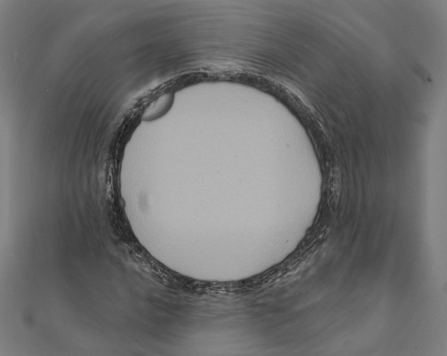 X0000112001016200908311110