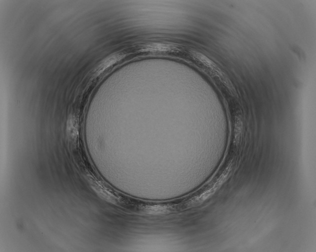 X0000112001017200908311110