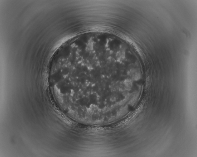 X0000112001019200908311110