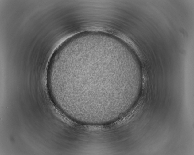 X0000112001020200908311110