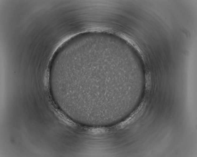 X0000112001021200908311110