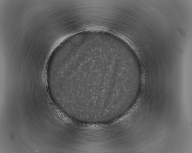 X0000112001022200908311110