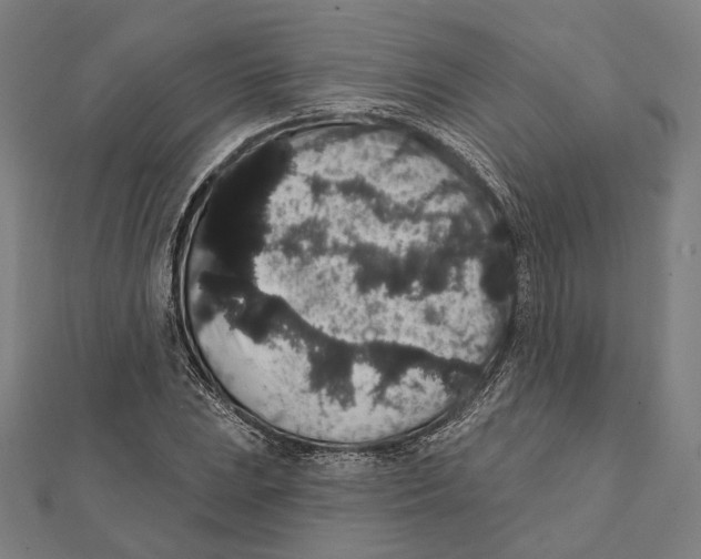 X0000112001023200908311110