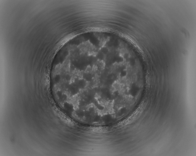 X0000112001025200908311110