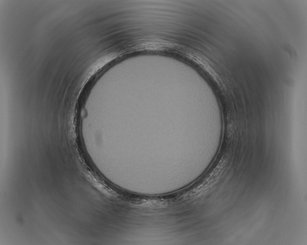 X0000112001026200908311110