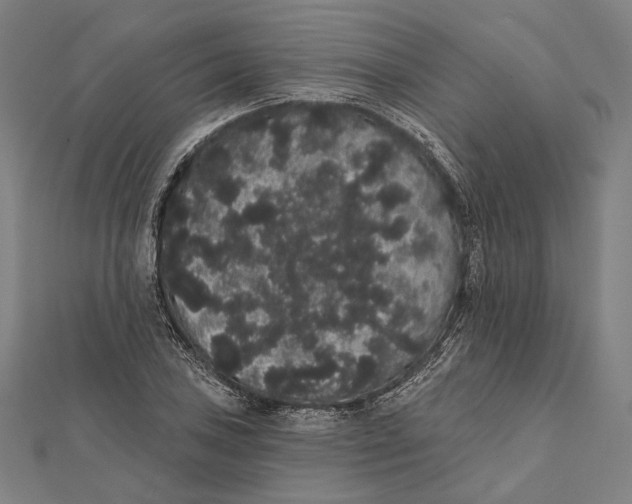 X0000112001027200908311110