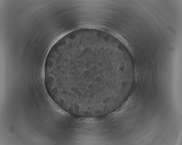 X0000112001028200908311110