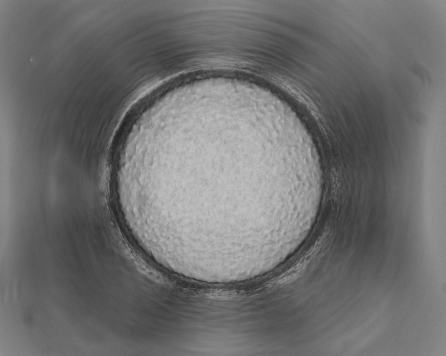 X0000112001029200908311110