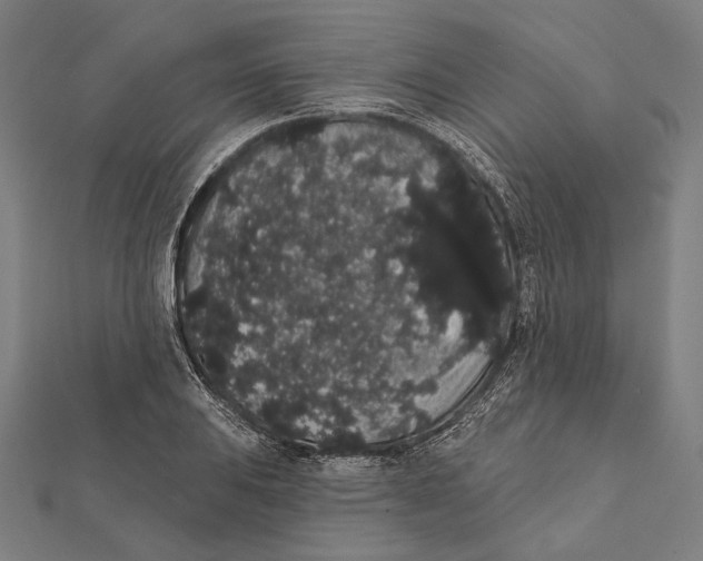 X0000112001031200908311110