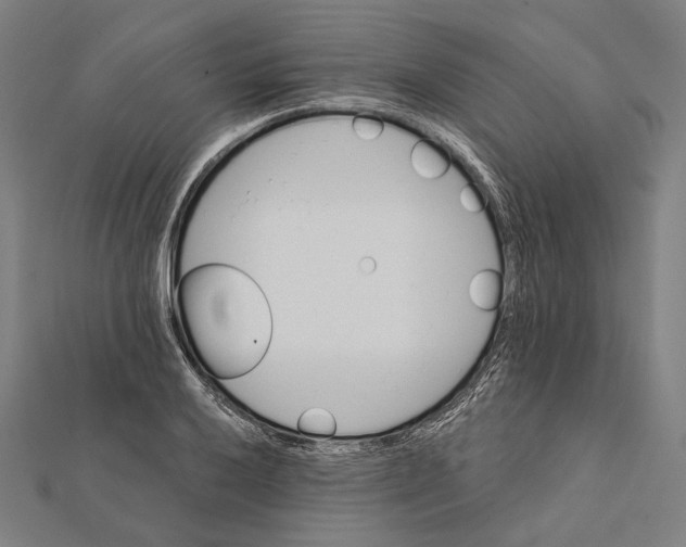 X0000112001032200908311110